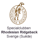 Rhodesian Ridgeback Sverige