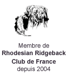 Rhodhesian Ridgeback - Club de France